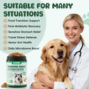 probiotics-for-dogs-digestive-health-che-4.jpg