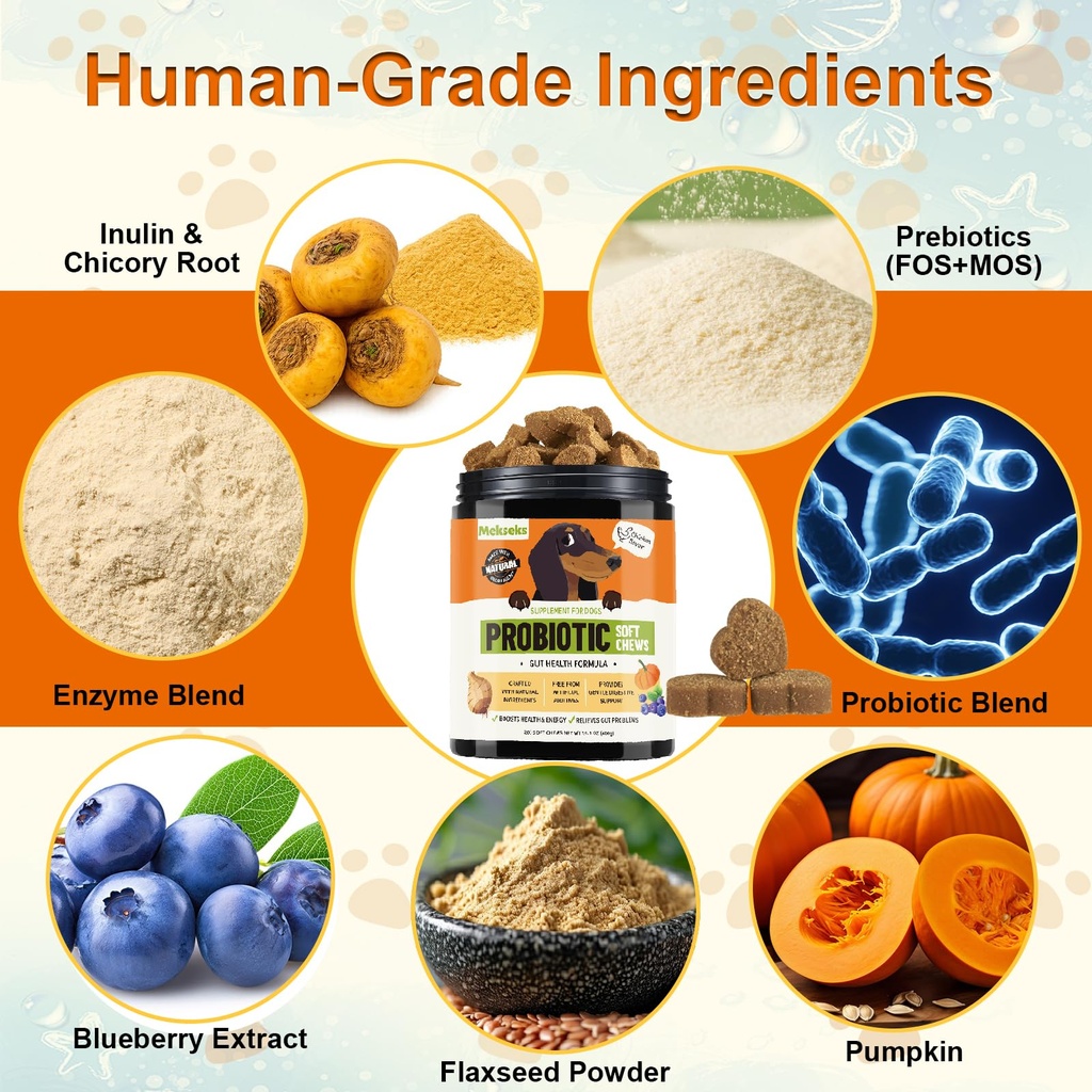 dog-probiotic-soft-chews-support-gut-hea-4.jpg