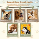 dog-probiotic-soft-chews-support-gut-hea-3.jpg