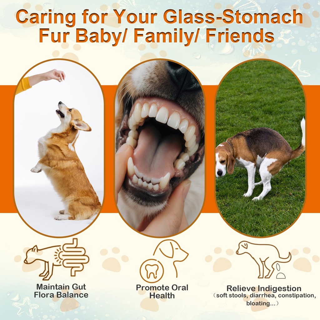 dog-probiotic-soft-chews-support-gut-hea-2.jpg