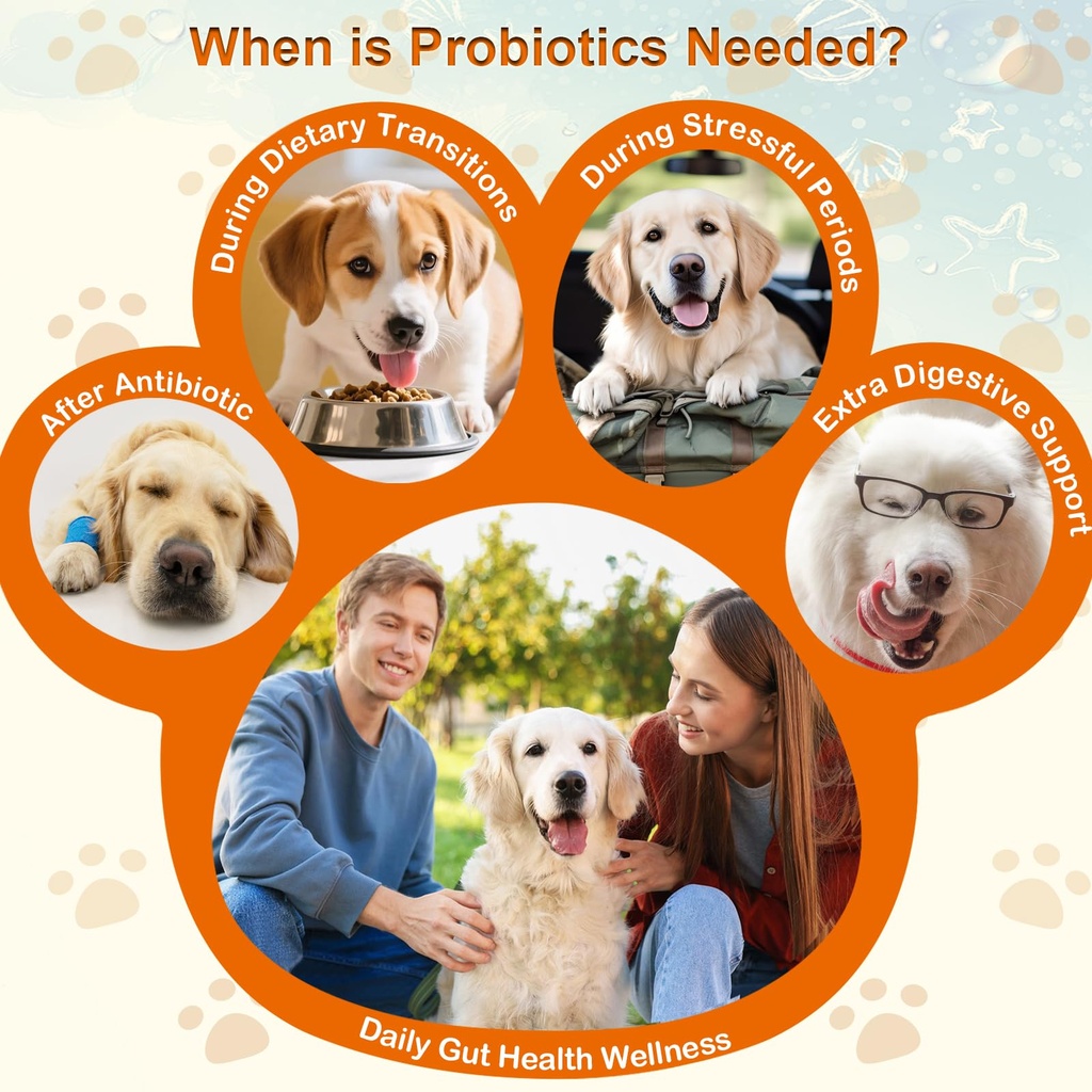 dog-probiotic-soft-chews-support-gut-hea-5.jpg