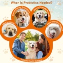 dog-probiotic-soft-chews-support-gut-hea-5.jpg