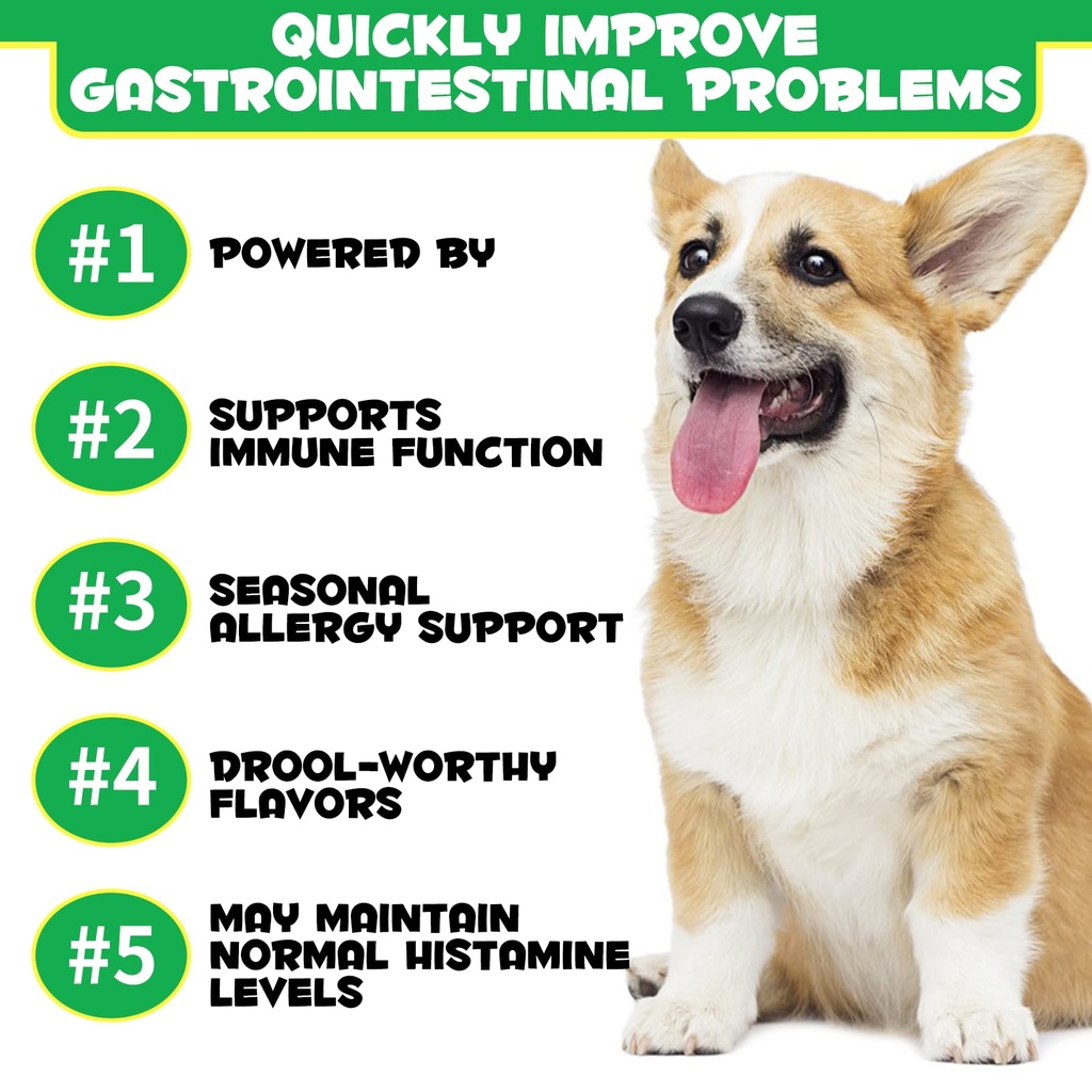 probiotics-for-dogs-digestive-health-dig-2.jpg