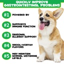 probiotics-for-dogs-digestive-health-dig-2.jpg