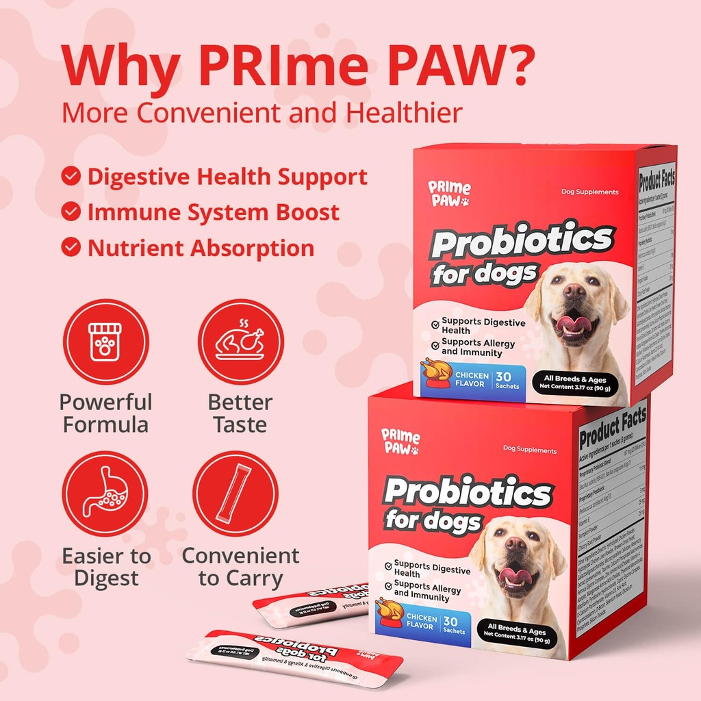 probiotics-for-dogs-digestive-health-20--3.jpg