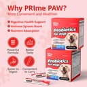 probiotics-for-dogs-digestive-health-20--3.jpg