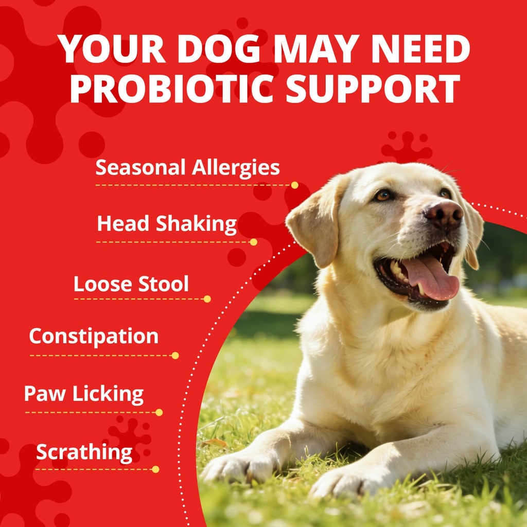 probiotics-for-dogs-digestive-health-20--2.jpg