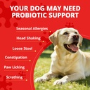 probiotics-for-dogs-digestive-health-20--2.jpg