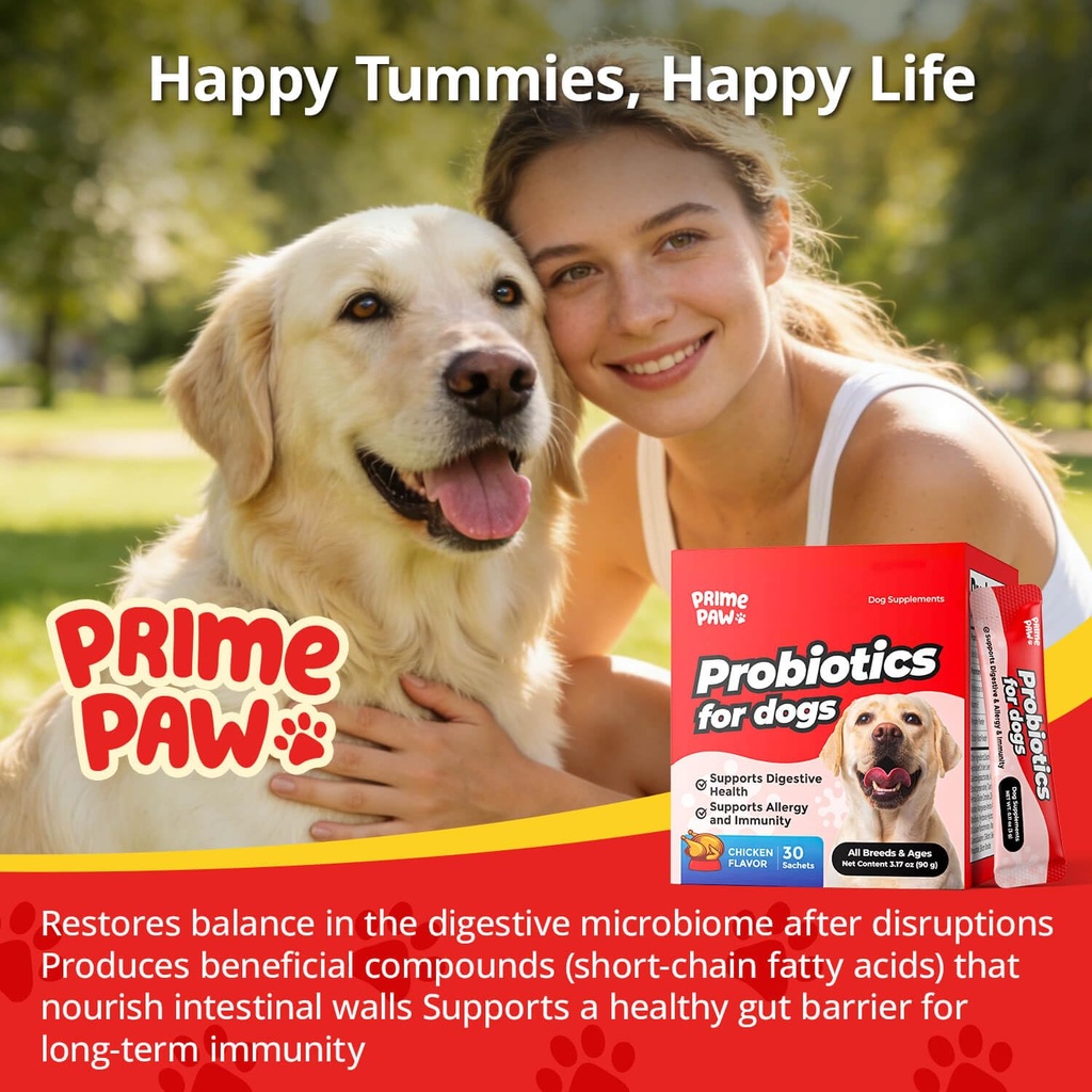 probiotics-for-dogs-digestive-health-20--5.jpg