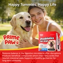 probiotics-for-dogs-digestive-health-20--5.jpg