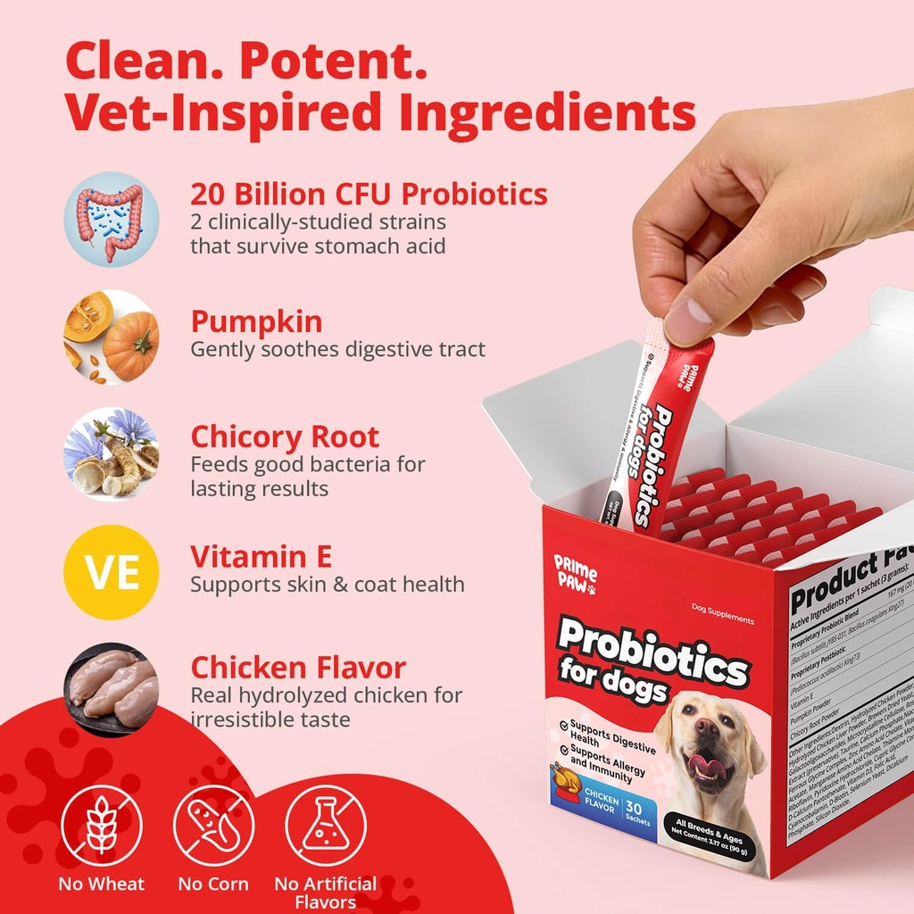 probiotics-for-dogs-digestive-health-20--4.jpg