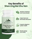 zenithherb-shen-ling-bai-zhu-san-ginseng-2.jpg