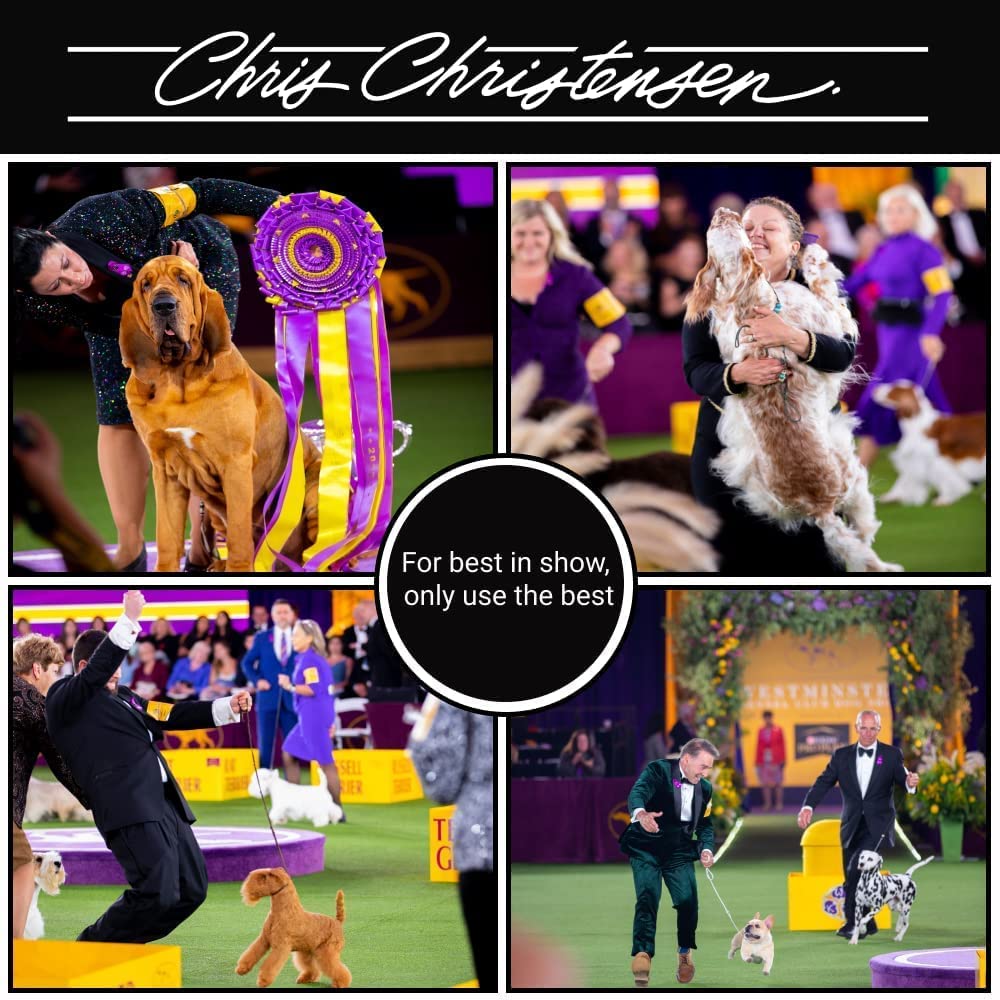 chris-christensen-mystic-ear-dog-ear-cle-2.jpg