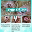 ear-mites-treatment-for-dogs-cats-cat-ea-3.jpg