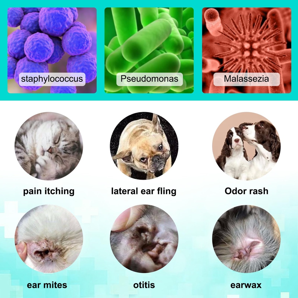ear-mites-treatment-for-dogs-cats-cat-ea-4.jpg