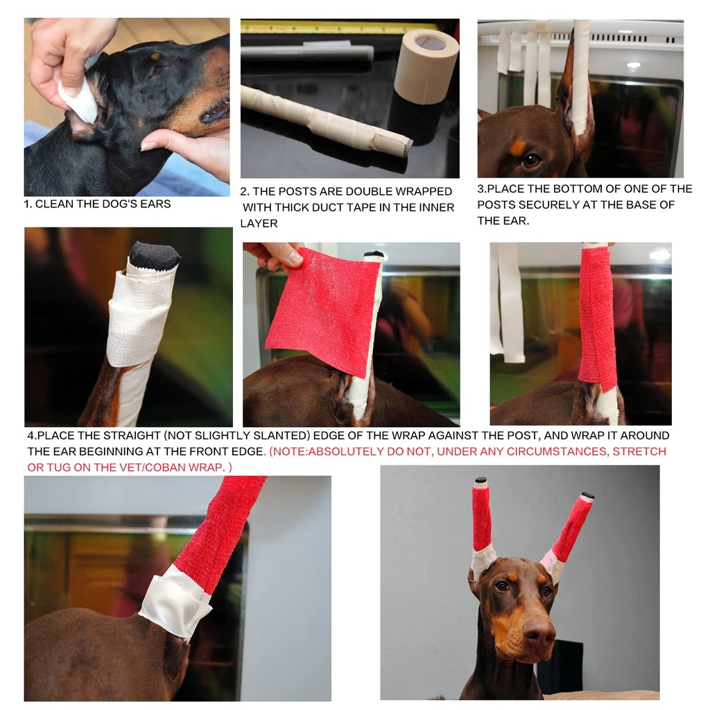 doberman-dog-ear-posting-kit-dog-ear-sta-6.jpg