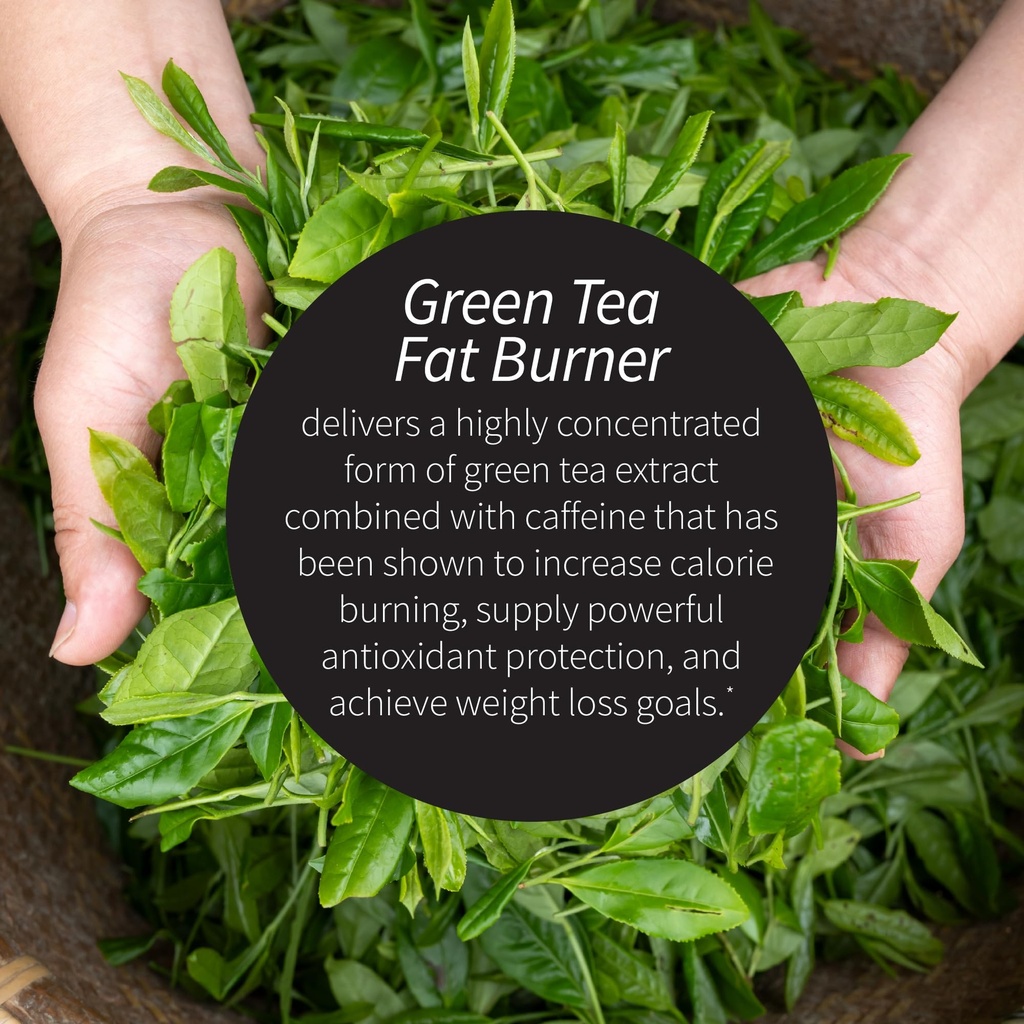 applied-nutrition-green-tea-fat-burner-3-3.jpg