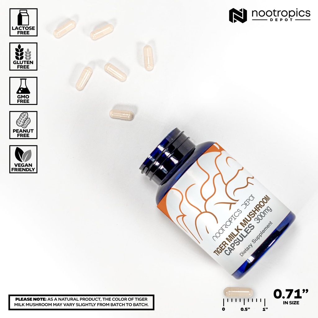 nootropics-depot-tiger-milk-mushroom-cap-3.jpg