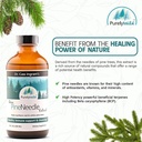 purely-wild-raw-pine-needle-extract-by-d-6.jpg