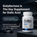 muscle-health-enhance-muscle-mass-streng-2.jpg