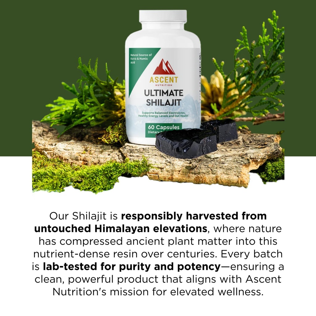 ascent-nutrition-ultimate-shilajit-natur-4.jpg