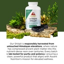 ascent-nutrition-ultimate-shilajit-natur-4.jpg