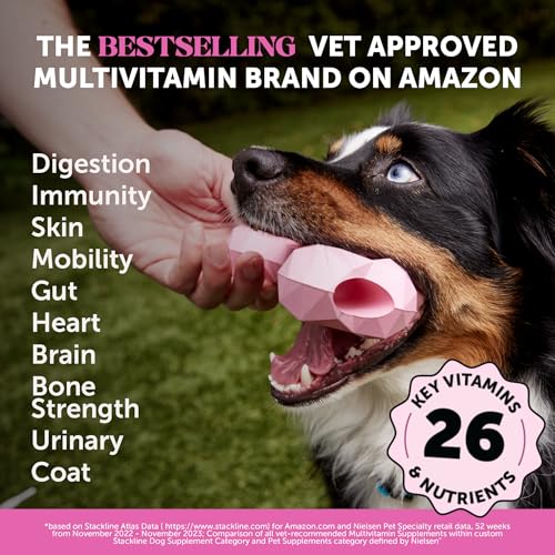 pet-honesty-dog-wellness-virtual-bundle--2.jpg