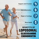 totaria-glucosamine-chondroitin-msm-coll-3.jpg