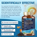 totaria-glucosamine-chondroitin-msm-coll-4.jpg