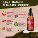 musebeam-organic-berberine-hcl-1000mg-li-2.jpg