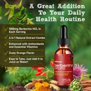 musebeam-organic-berberine-hcl-1000mg-li-6.jpg