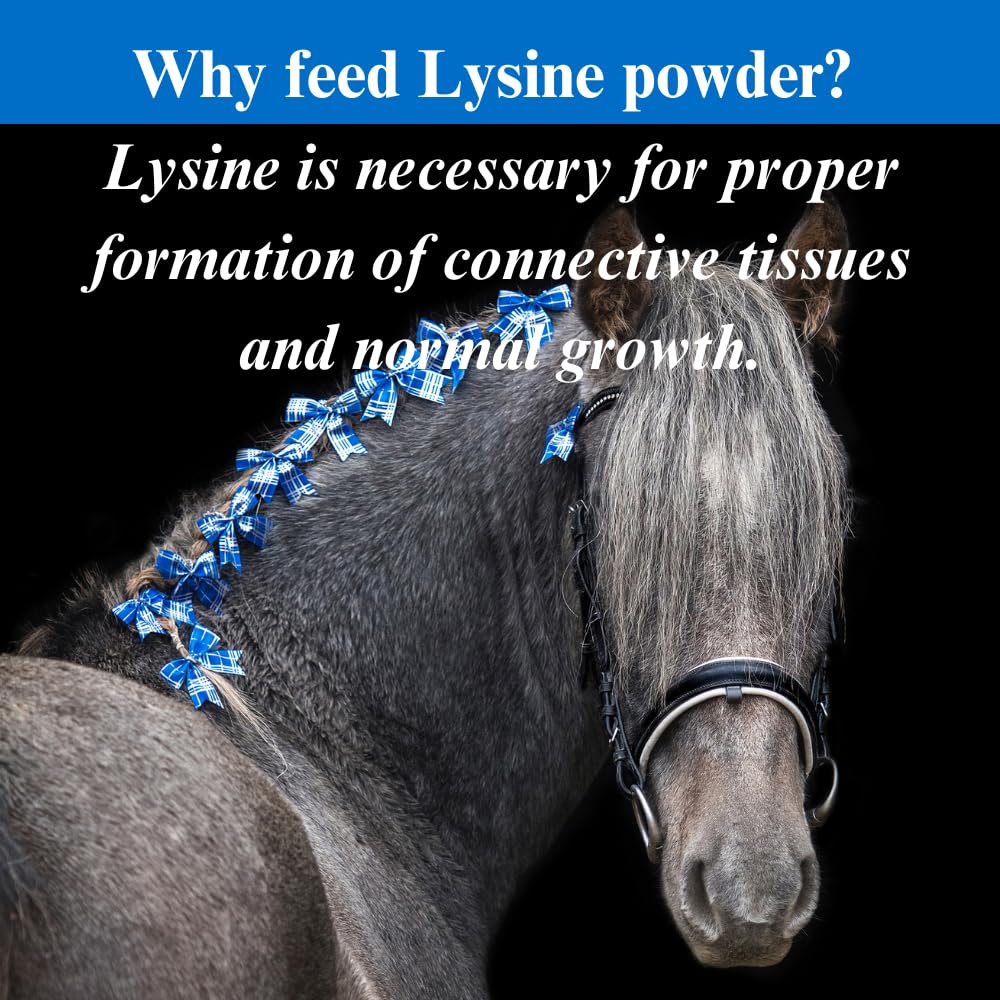 su-per-lysine-supplement-for-horses-supp-4.jpg