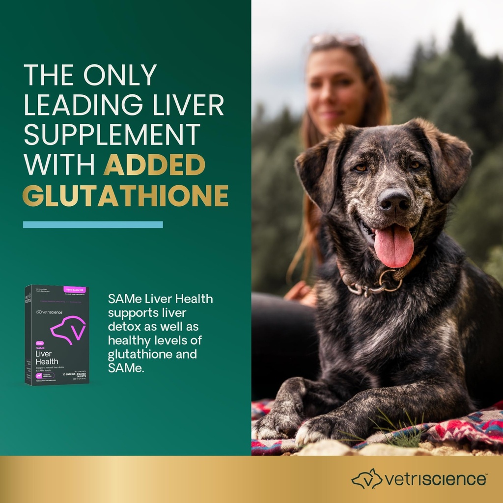 vetriscience-same-liver-health-tablets-2-4.jpg