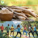 shatavari-capsules-500-mg-asparagus-race-3.jpg