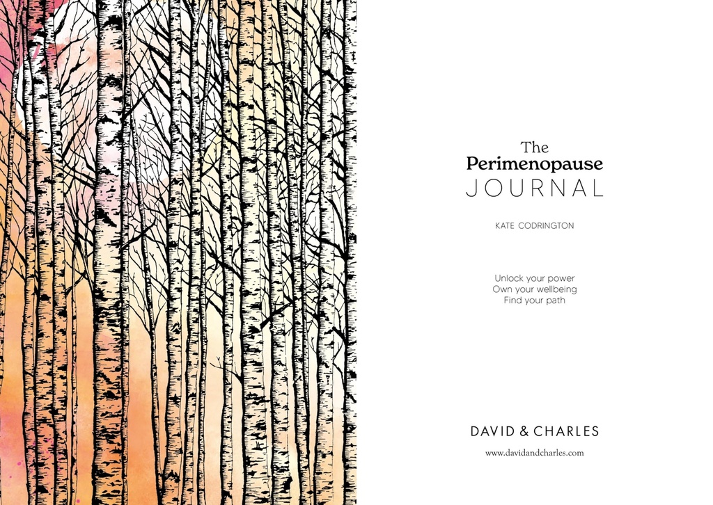 the-perimenopause-journal-unlock-your-po-2.jpg