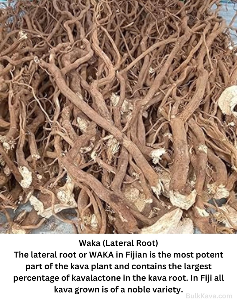 kava-waka-powder-authentic-noble-kava-ro-2.jpg