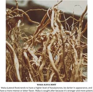 waka-kava-root-powder-1-lb-100-noble-kav-5.jpg