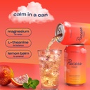 recess-mood-magnesium-adaptogen-drink-re-6.jpg