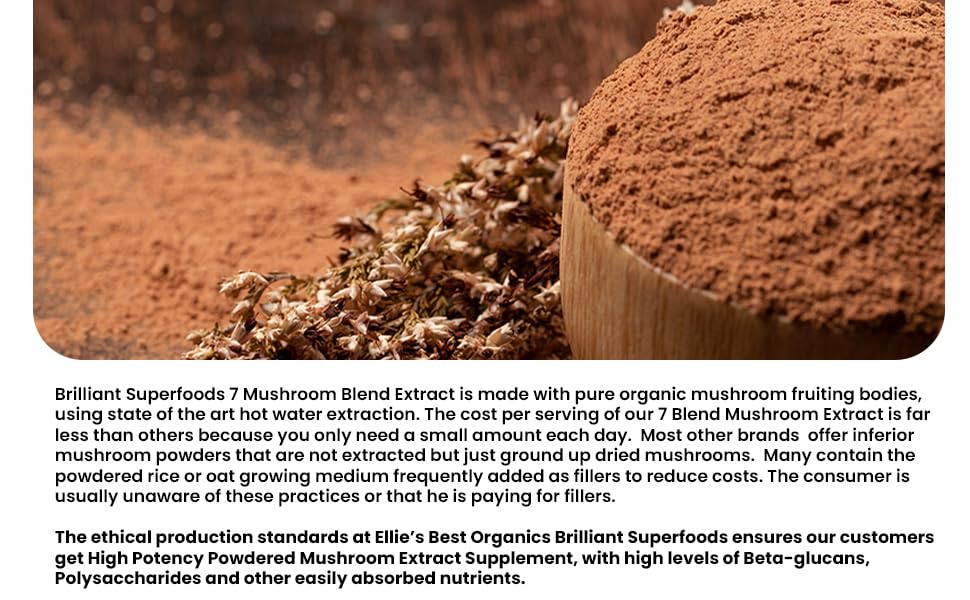 ellie-s-best-7-mushroom-powder-extract-b-2.jpg