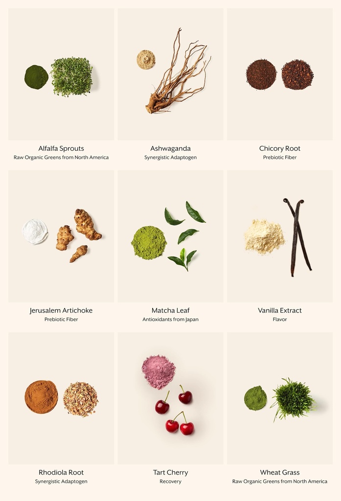 promix-nutrition-raw-greens-superfood-bl-6.jpg