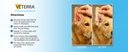 dog-ear-drops-ear-cleaner-for-dogs-cats--4.jpg