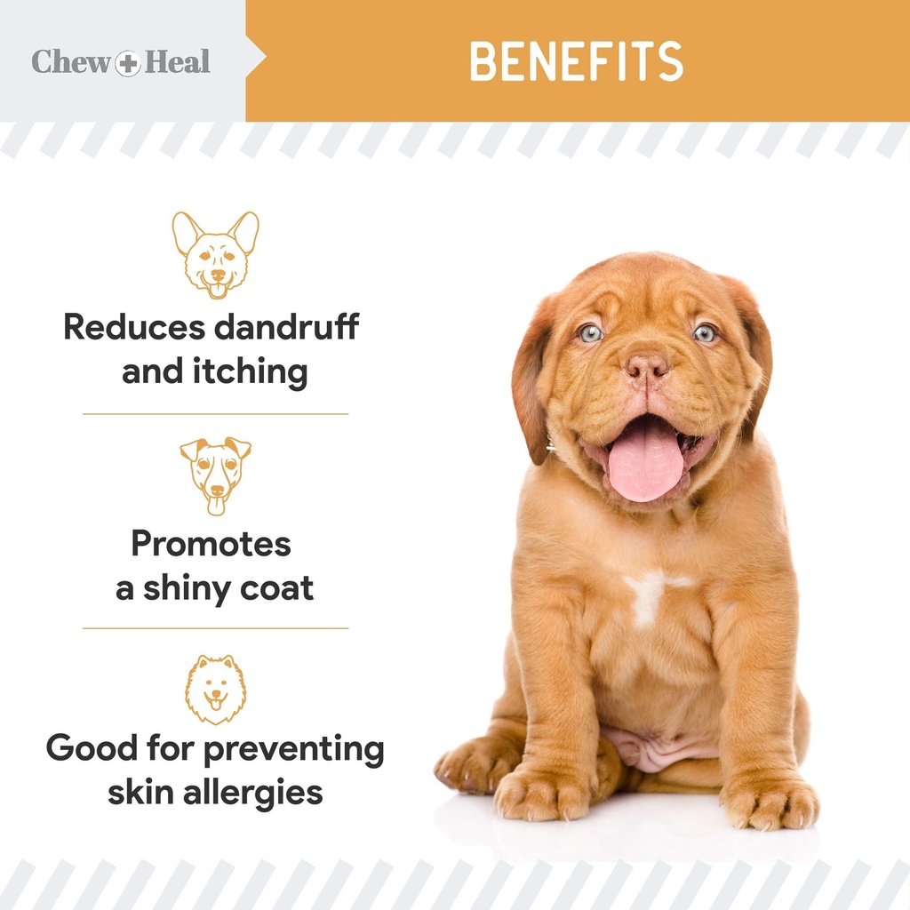 salmon-oil-for-dogs-60-soft-chew-omega-t-3.jpg