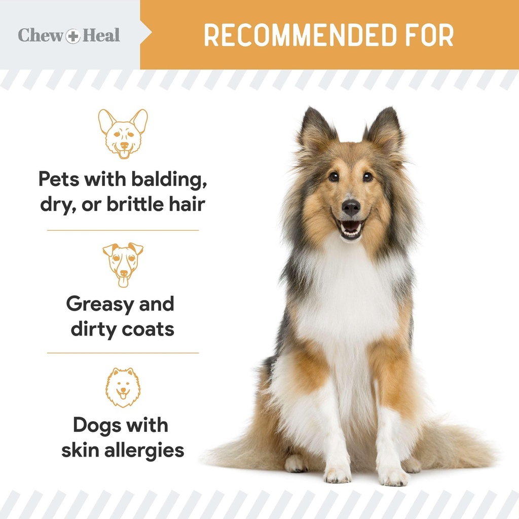 salmon-oil-for-dogs-60-soft-chew-omega-t-4.jpg