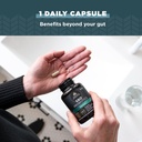 ancient-nutrition-probiotics-for-immune--4.jpg