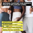 natural-shilajit-tablets-120-dry-drops-1-4.jpg