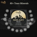 organic-spree-shilajit-resin-20gm-0-70oz-4.jpg