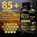 nature-target-himalayan-shilajit-capsule-6.jpg