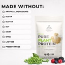 gorilla-gulps-100-organic-pure-plant-pro-5.jpg