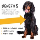 maxxipaws-maxxicardio-heart-support-for--2.jpg