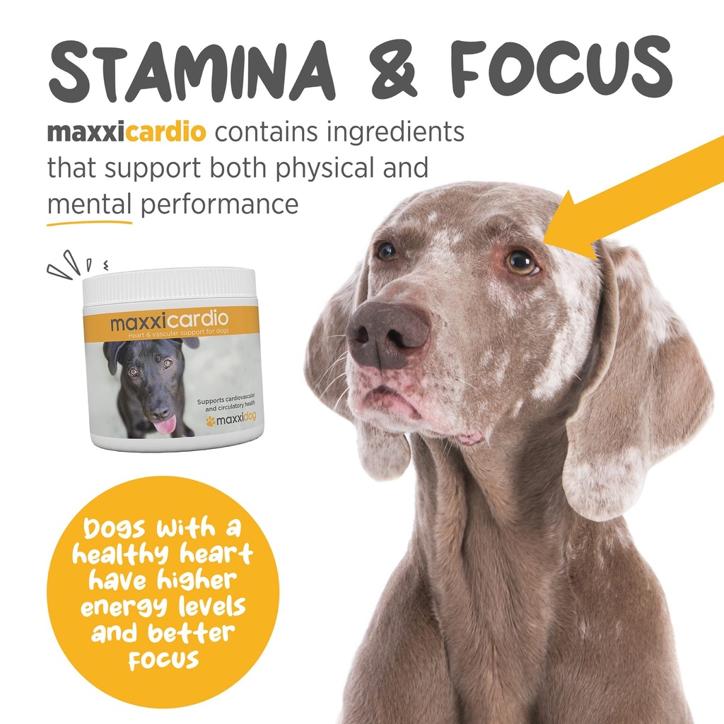 maxxipaws-maxxicardio-heart-support-for--4.jpg